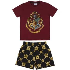 Pyjamas / Natskjorte Harry Potter 2200006993