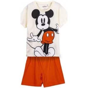 Pyjamas / Natskjorte Disney 2900001329A
